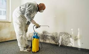 Best Industrial Mold Remediation in Pierceton, IN