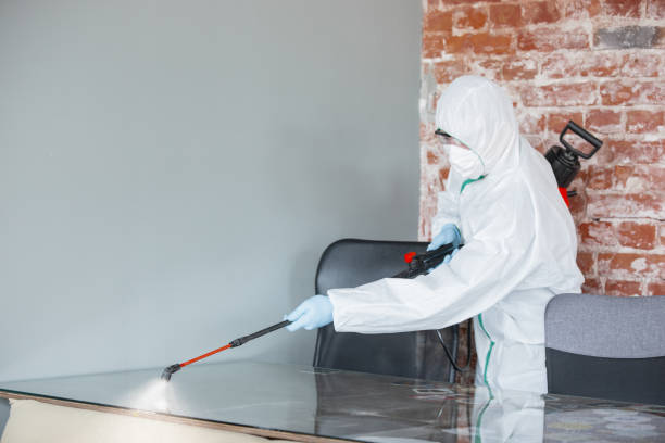 Best Asbestos and Lead Testing During Mold Inspection in Pierceton, IN